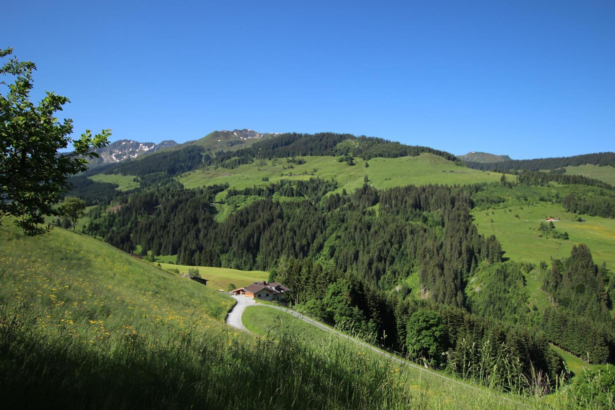 Ferienwohnung Bergpanorama Wild600 Schwarzenau  Exterior foto